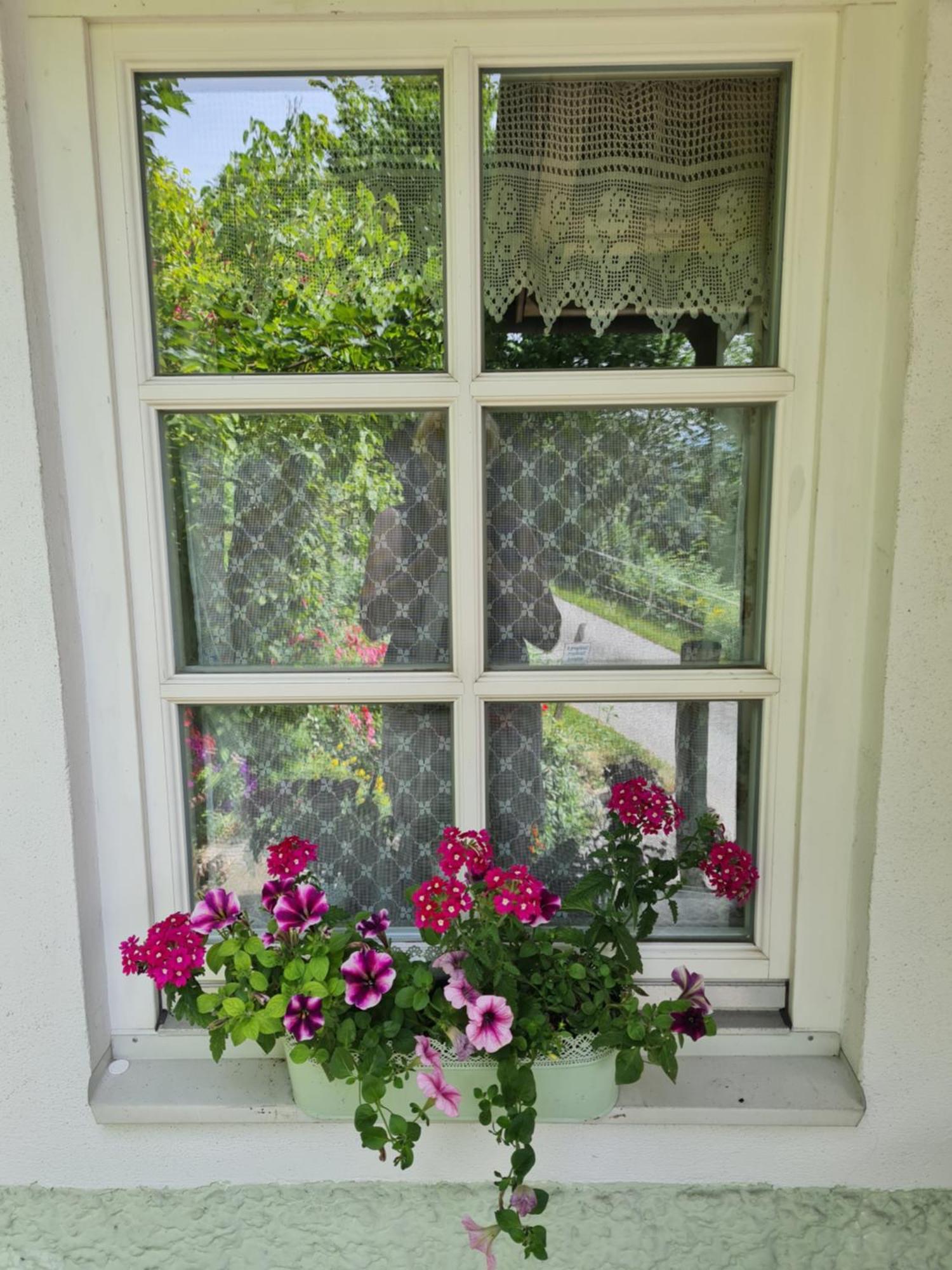 Ferienhaus Forsthof Taxenbach Zimmer foto
